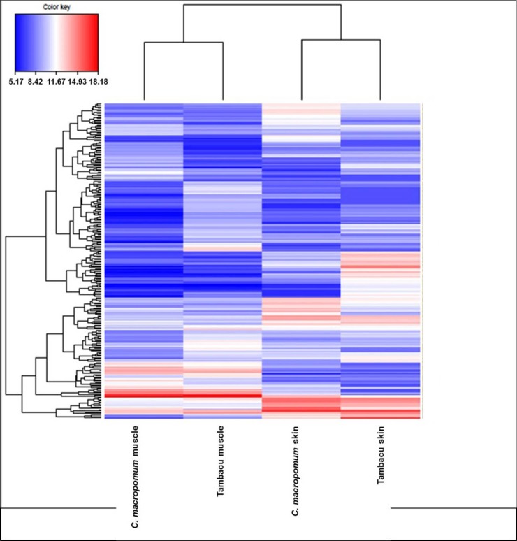 Fig 4