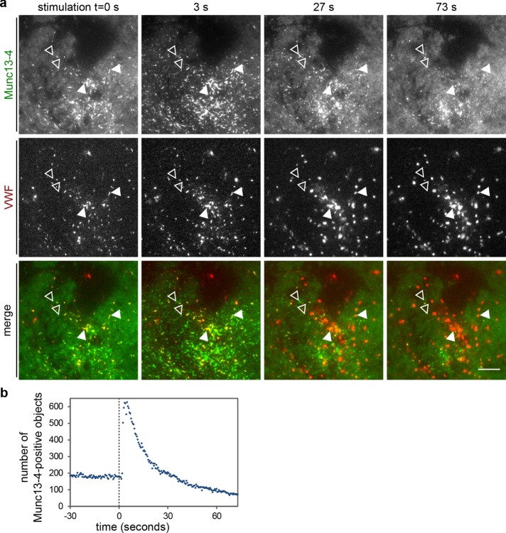 FIGURE 6: