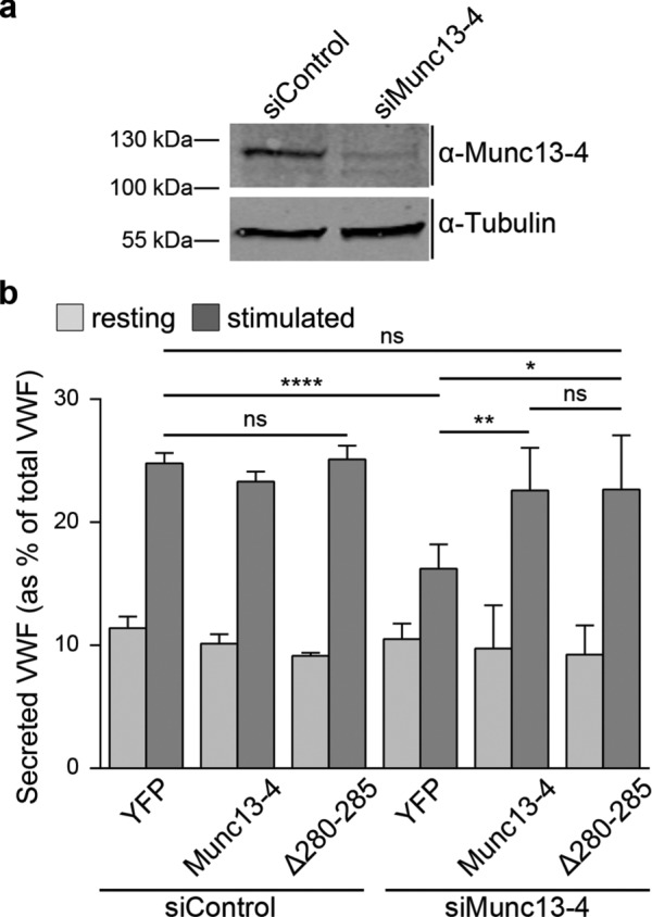 FIGURE 4: