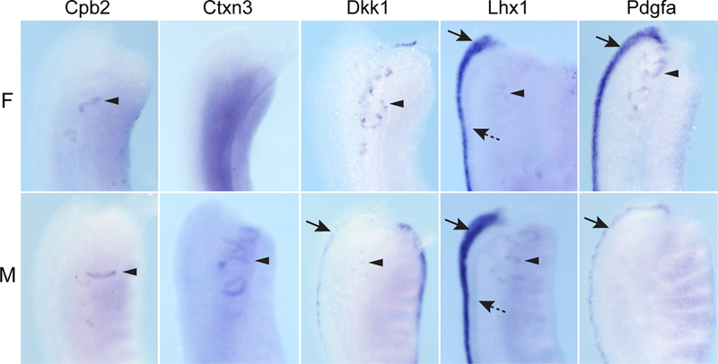 Figure 3.