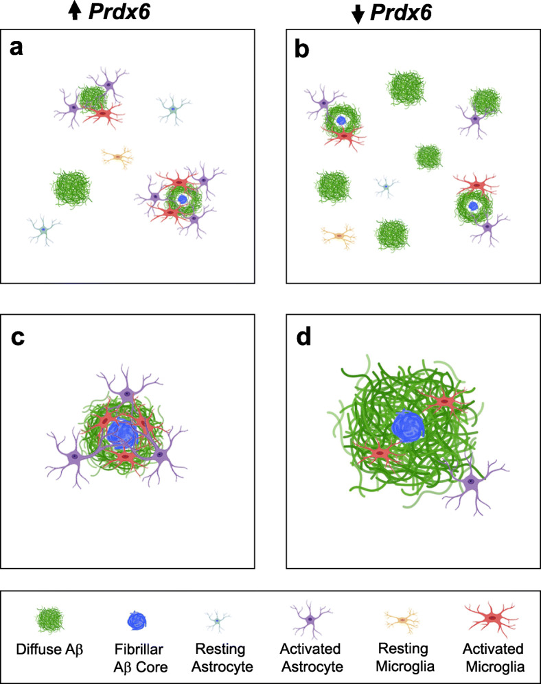 Fig. 10