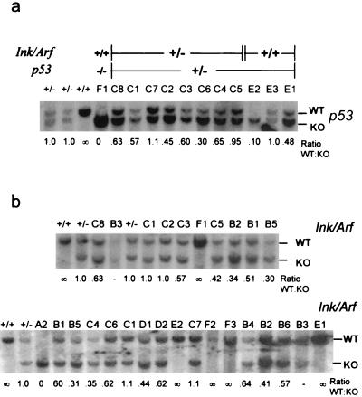 FIG. 3.