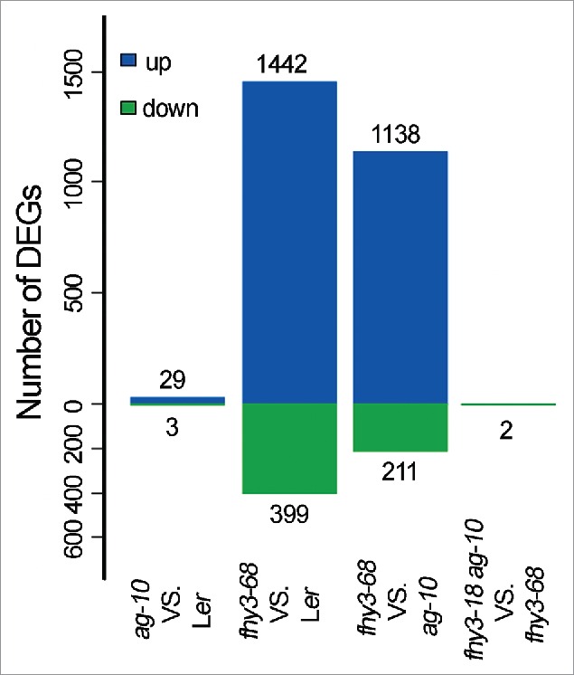 Figure 3.