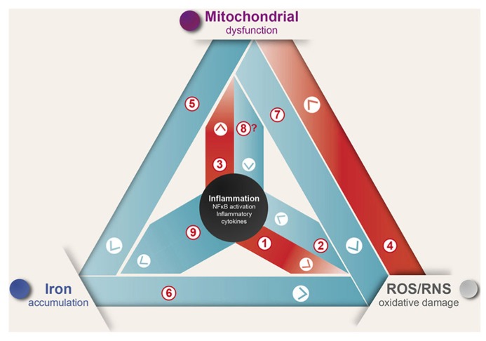 FIGURE 1