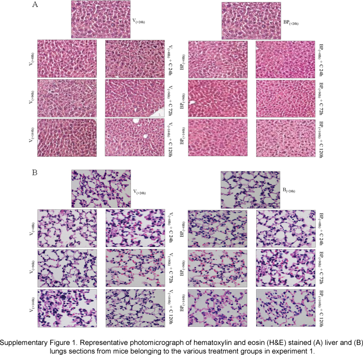 Supplementary Fig. S1