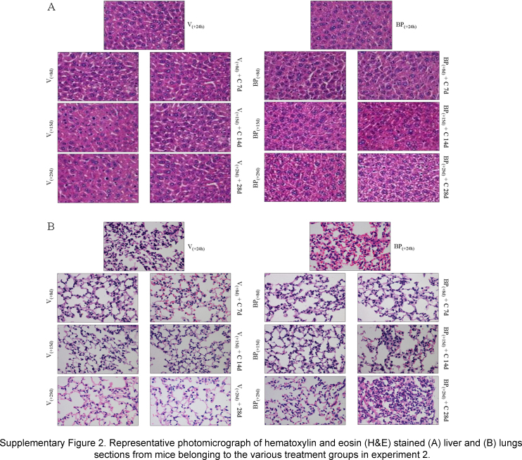 Supplementary Fig. S2