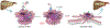 Figure 7: