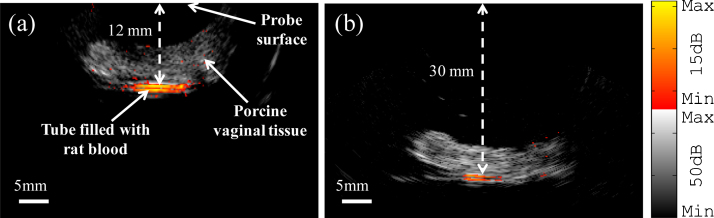 Fig. 7