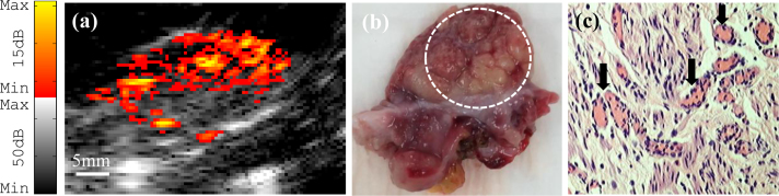 Fig. 9