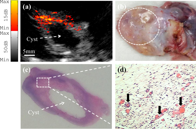 Fig. 8