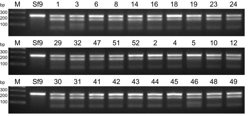 Fig. S3.