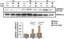 FIG 6