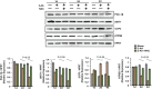 FIG 5