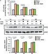 FIG 3