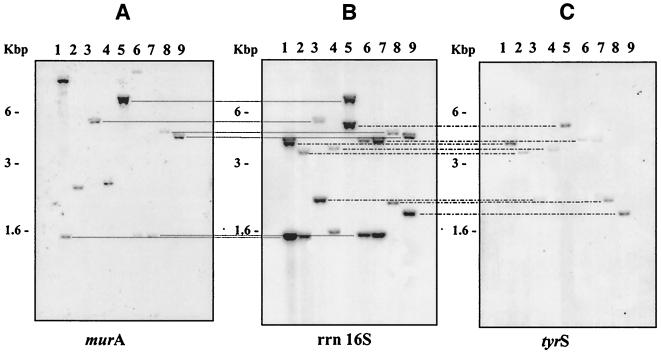 FIG. 5.