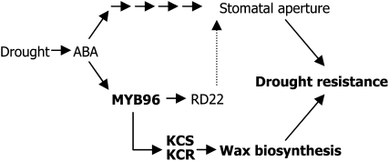 Figure 10.