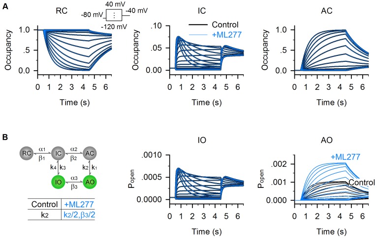 Figure 7—figure supplement 1.