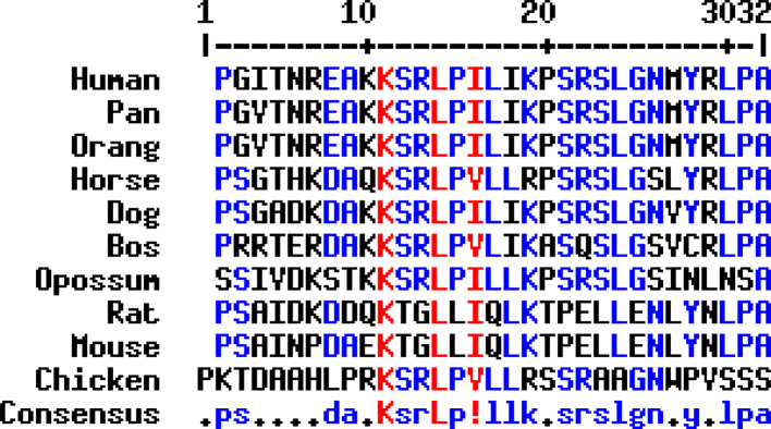 Fig. 10