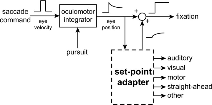 Figure 8.