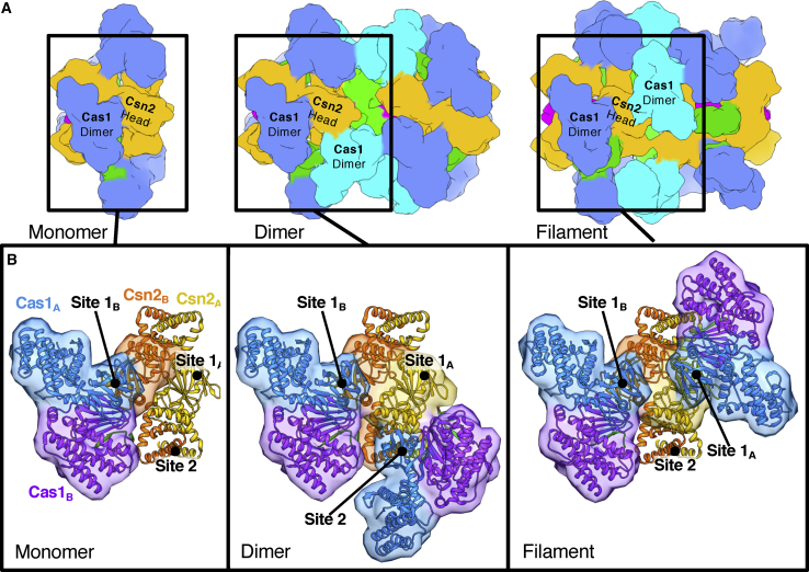 Figure 6