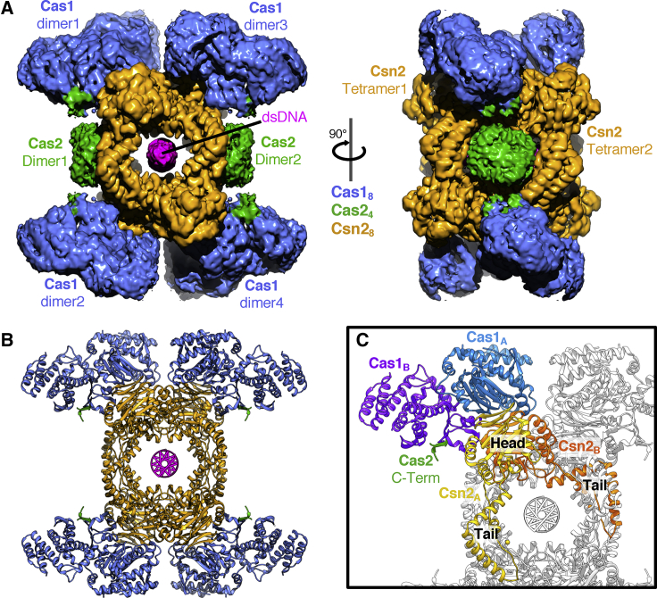 Figure 2