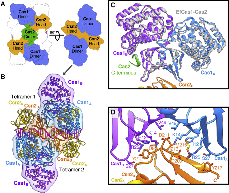 Figure 3