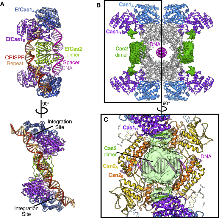 Figure 4