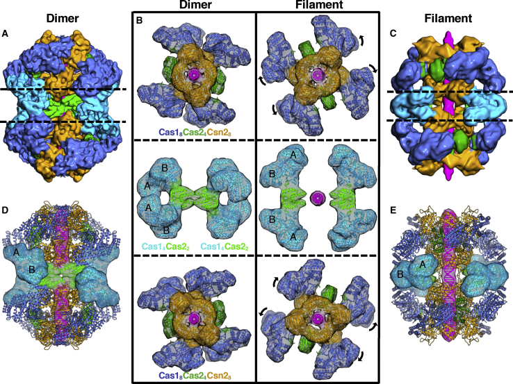 Figure 5