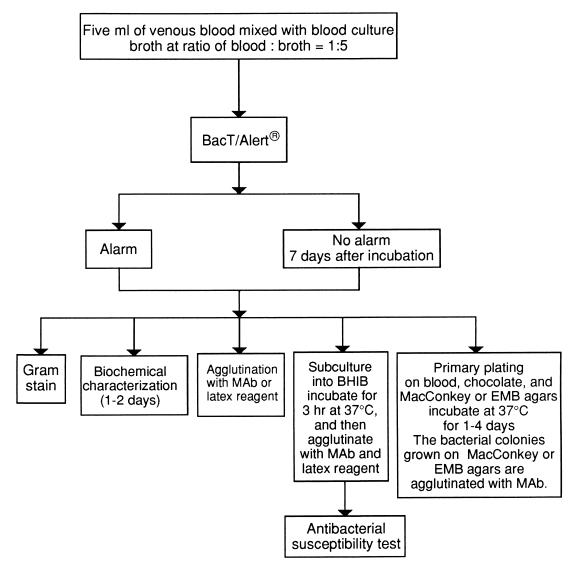 FIG. 1