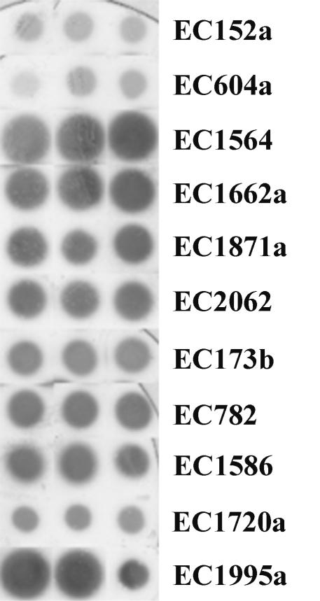 FIG. 4.