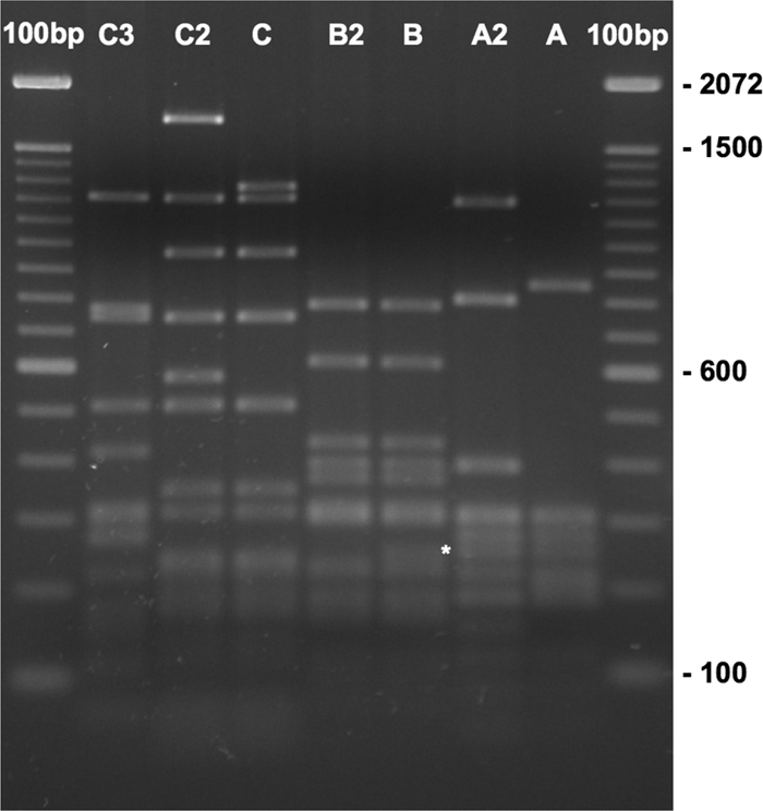 FIG. 2.