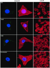 FIG.4.