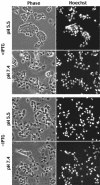 FIG. 7.