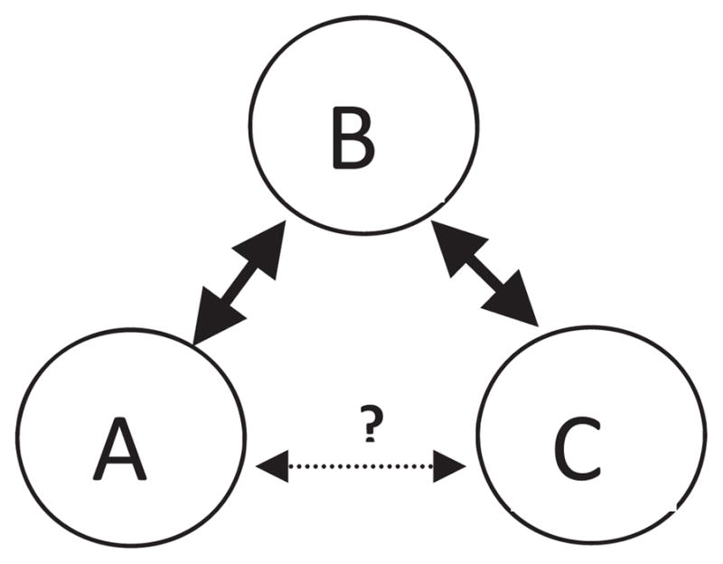 FIGURE 1