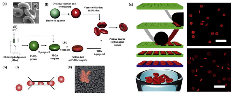 FIGURE 11