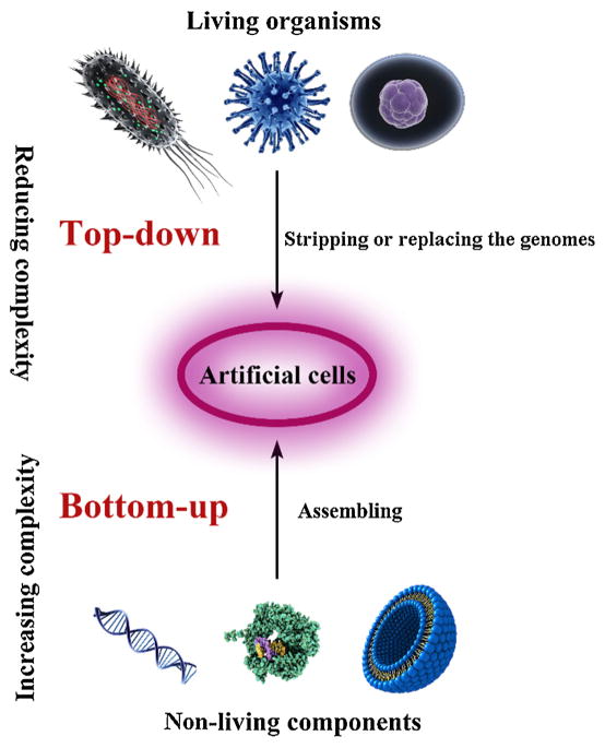 FIGURE 1