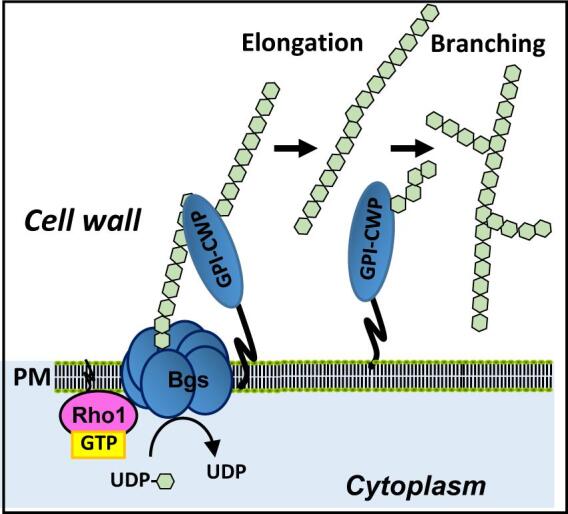 Fig. 2