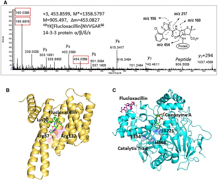 Figure 4.