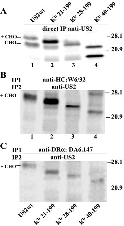 FIG. 5.