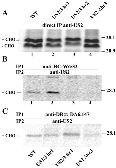 FIG. 7.