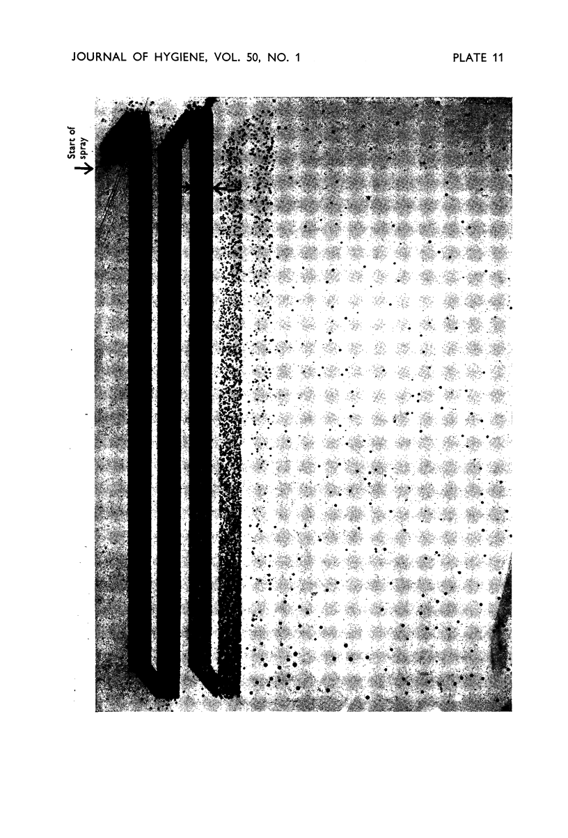 96-2
