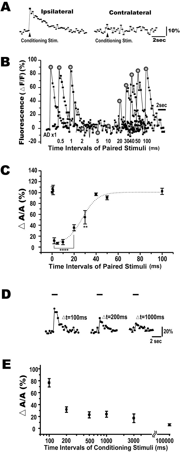 Fig. 10.