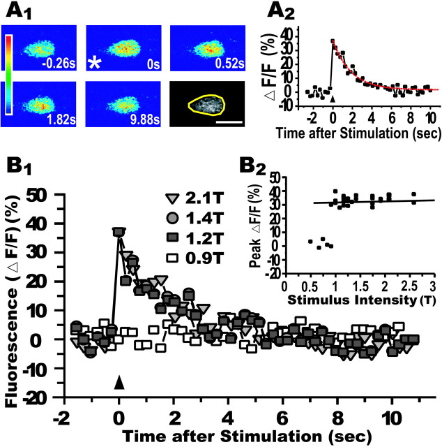 Fig. 2.