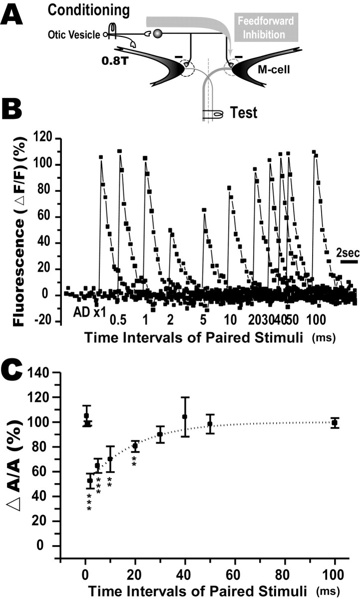 Fig. 9.