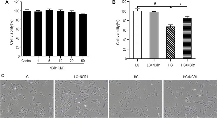 FIGURE 1