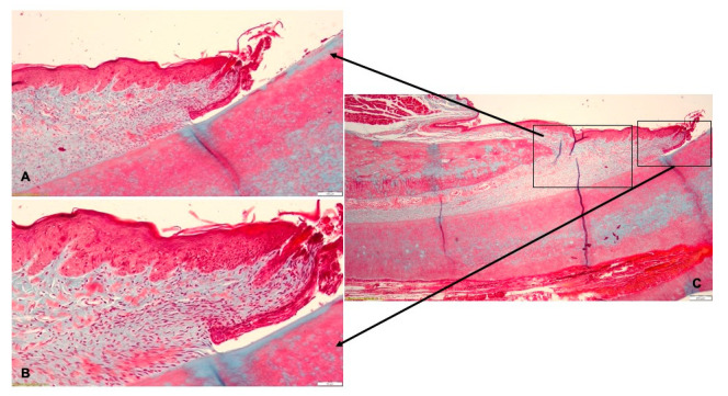 Figure 10