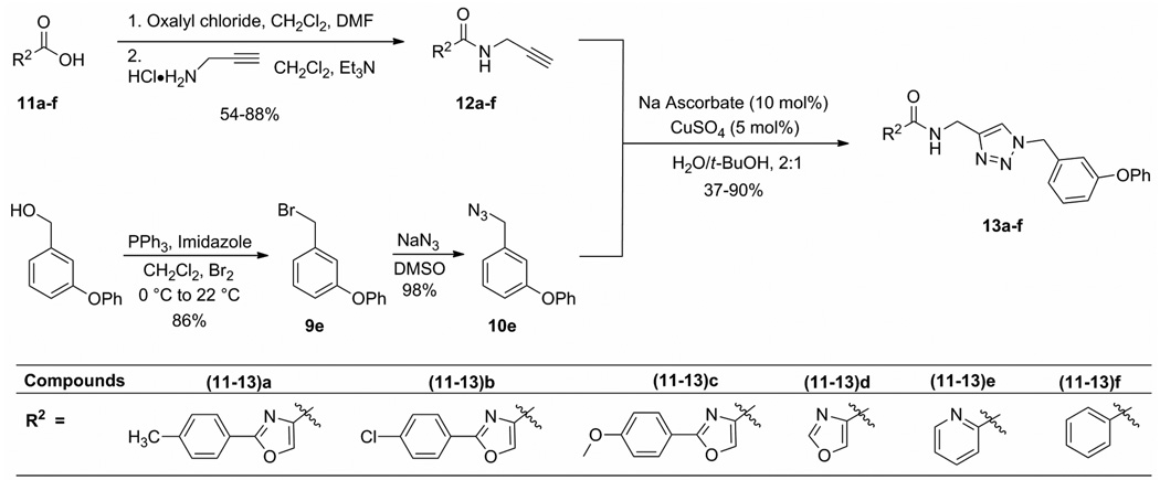 Scheme 3