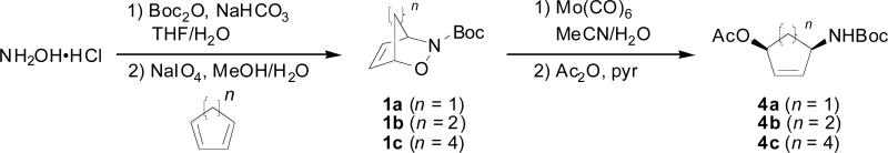 Scheme 1