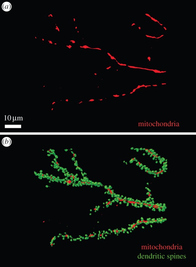 Figure 2.