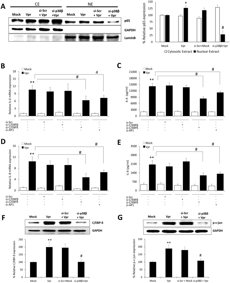 Fig 6